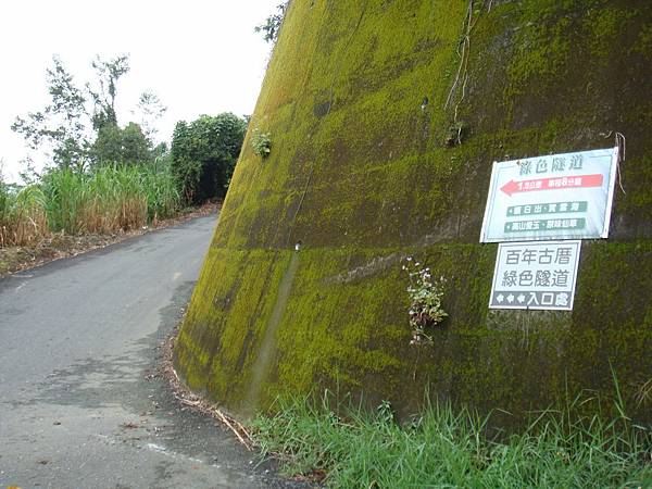 綠色隧道由此去