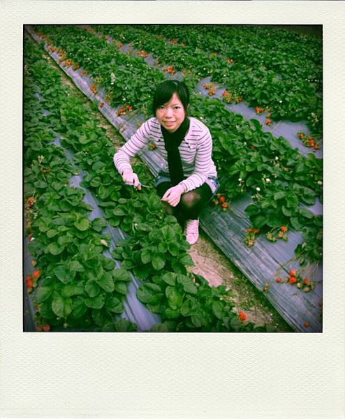 087-pola.jpg