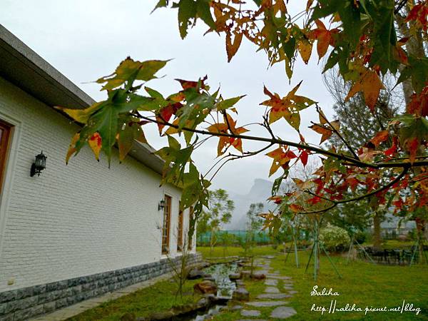 苗栗巧克力雲莊 (2).JPG