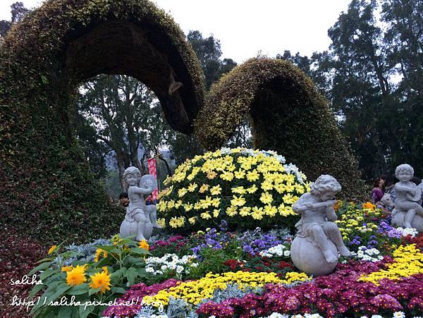 士林官邸賞菊花 (30).jpg