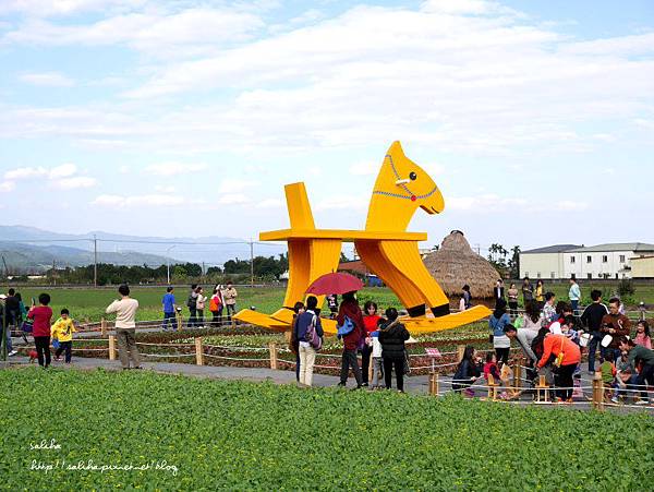 宜蘭三星景點黃色小馬花海 (20).JPG