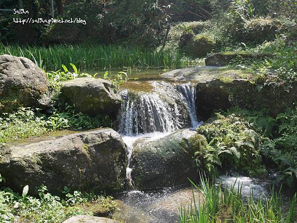 桃園旅遊景點桃源仙谷鬱金香花海 (27).JPG