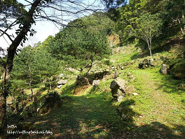 桃園旅遊景點桃源仙谷鬱金香花海 (36).JPG