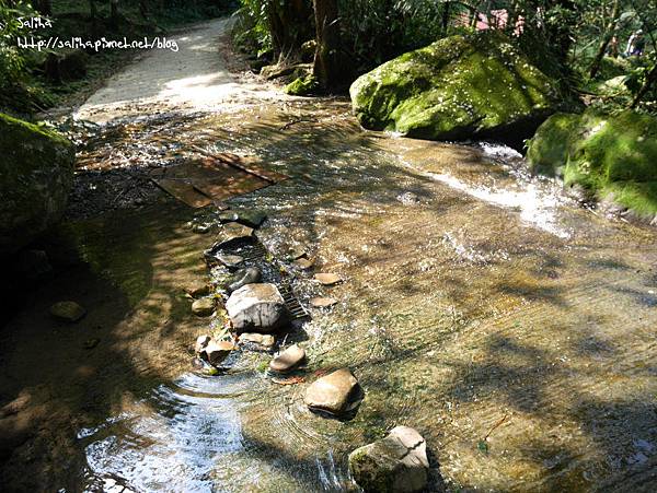 桃園旅遊景點桃源仙谷鬱金香花海 (41).JPG