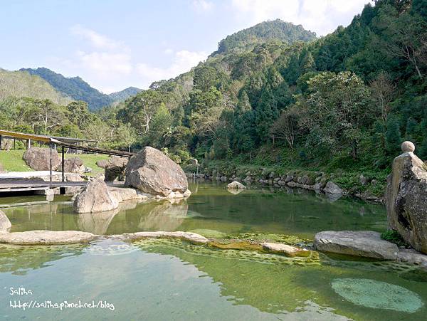 桃園旅遊景點桃源仙谷鬱金香花海 (2).JPG