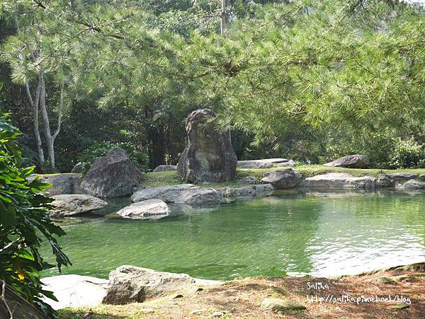 桃園旅遊景點桃源仙谷鬱金香花海 (3).JPG