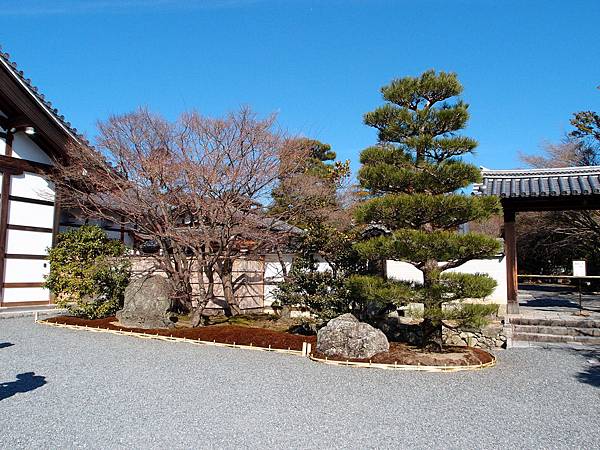 天龍寺 天龍寺