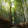 嵯峨野竹林步道