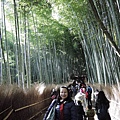 嵯峨野竹林步道