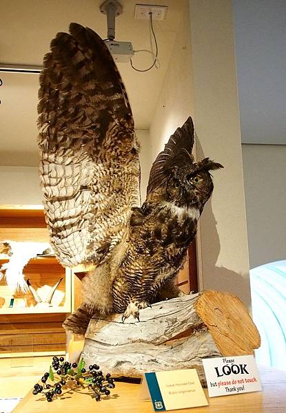 波特治湖貝吉奇博格斯遊客中心