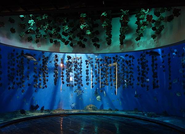 22 台灣水域 (2).JPG