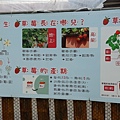 內湖草莓園 (1).JPG