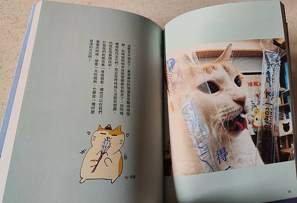 開箱 閱讀心得分享 : 黃阿瑪的後宮生活 貓咪超有事 4  