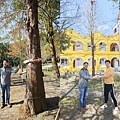 布魯克森林民宿 (9).jpg