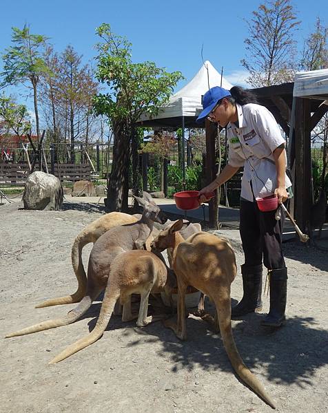 蘭陽動植物王國 (1).JPG