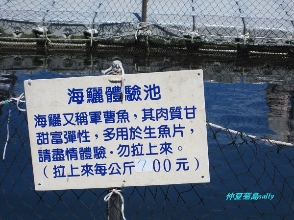 還可以海釣