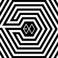 20140507-EXO-OVERDOSE.jpg