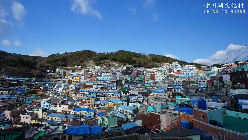 DSC01368.JPG DSC01368.JPG