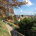 IMG_3815