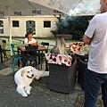 IMG_3830