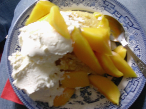 mango pudding.jpg