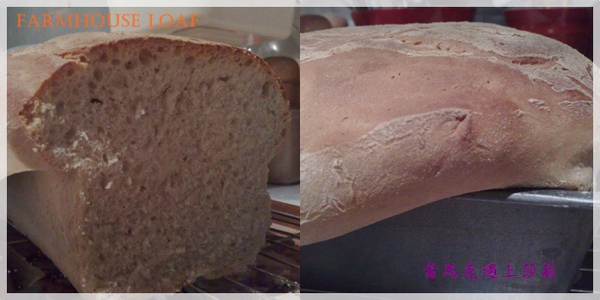 Farmhouse loaf 2220520091109.jpg