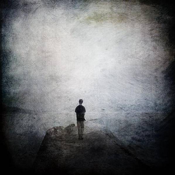 光芒 - 树海组合 光芒 - 树海组合