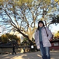 Seoul_2010_11_12_43.JPG