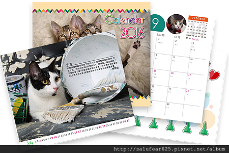 img_cat_calendar.png