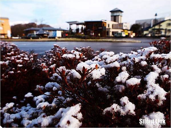 20101207_Hakodate_003.jpg