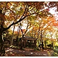 2012111727_Kyoto_031