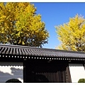 2012111727_Kyoto_056