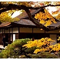 2012111727_Kyoto_180