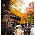 2012111727_Kyoto_230