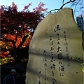 20081129_Kamakura_152.JPG