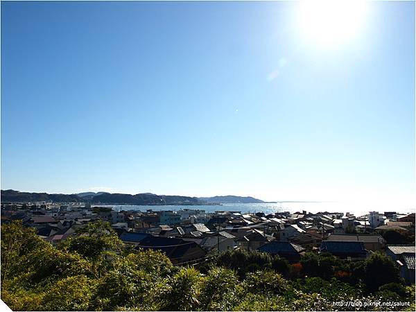 20081130_Kamakura_037.JPG