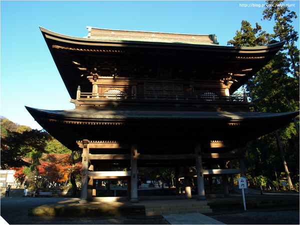 20081129_Kamakura_189.JPG