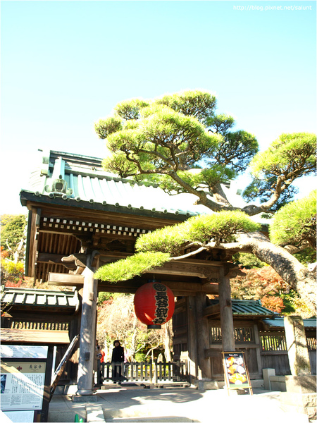 20081130_Kamakura_023.JPG