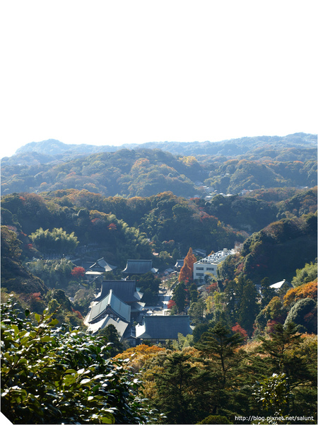 20081130_Kamakura_111.JPG