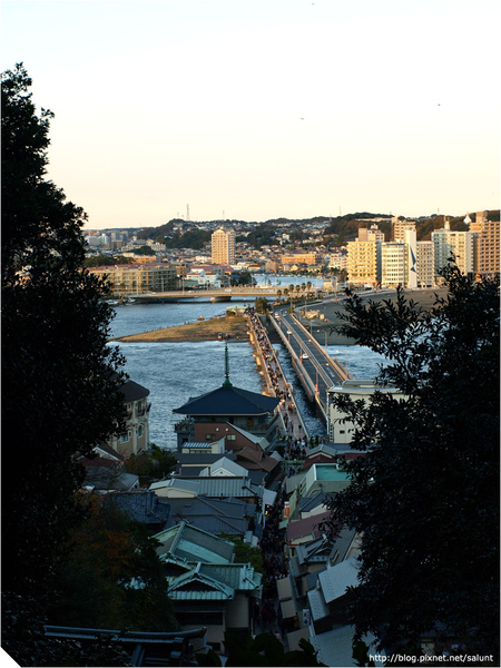 20081130_Kamakura_142.JPG