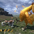 ff13-bird-02.jpg