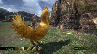 ff13-bird-03.jpg