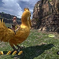 ff13-bird-03.jpg