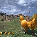 ff13-bird-05.jpg