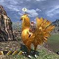 ff13-bird-04.jpg