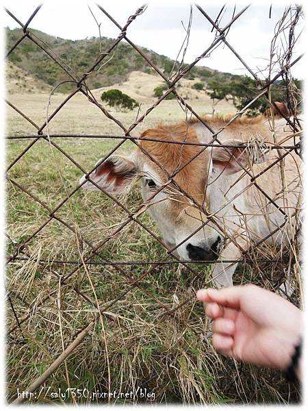 圖片1.jpg 圖片1.jpg