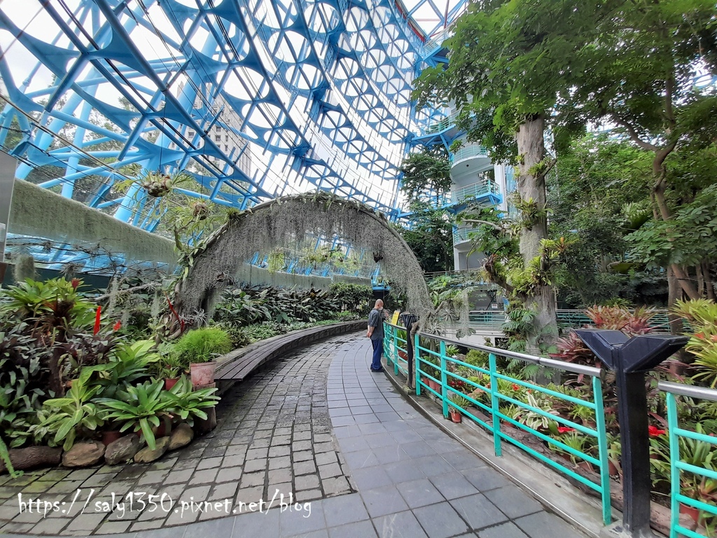 科博館植物園06.jpg