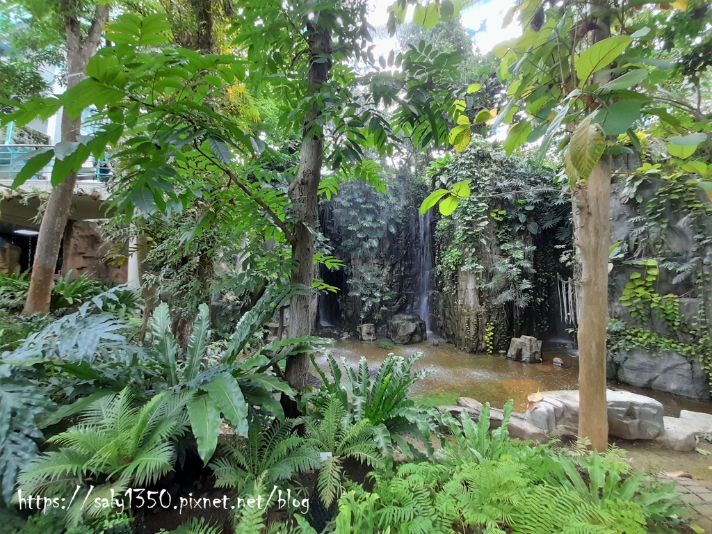 科博館植物園09.jpg