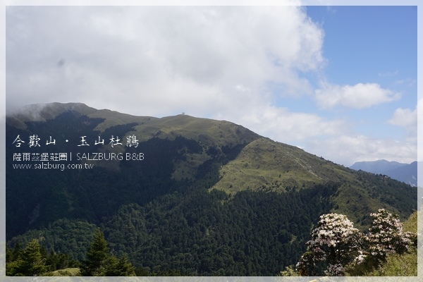 合歡杜鵑2.JPG 合歡杜鵑2.JPG