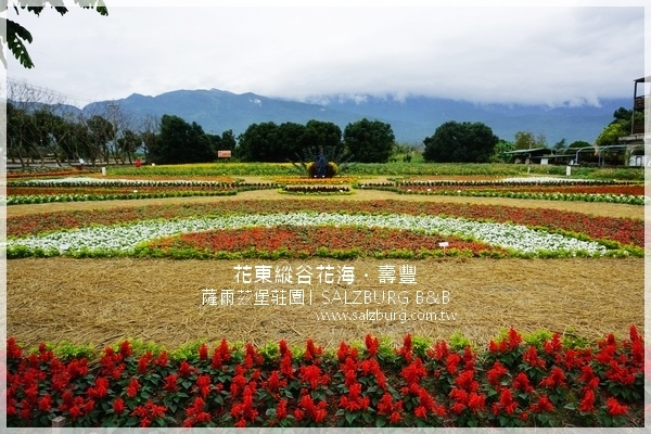 花東縱谷花海 花蓮民宿